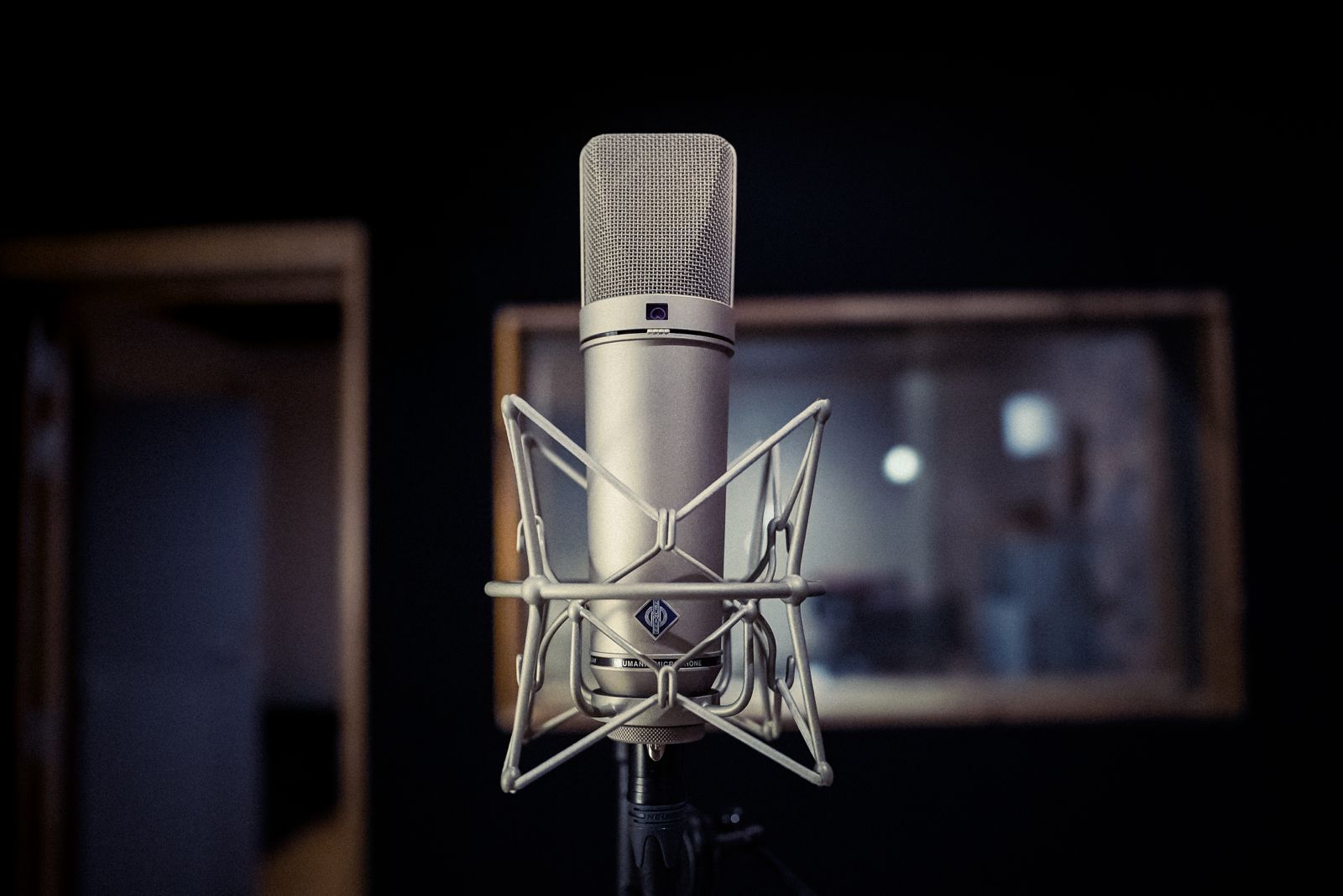 Microphone Neumann U87